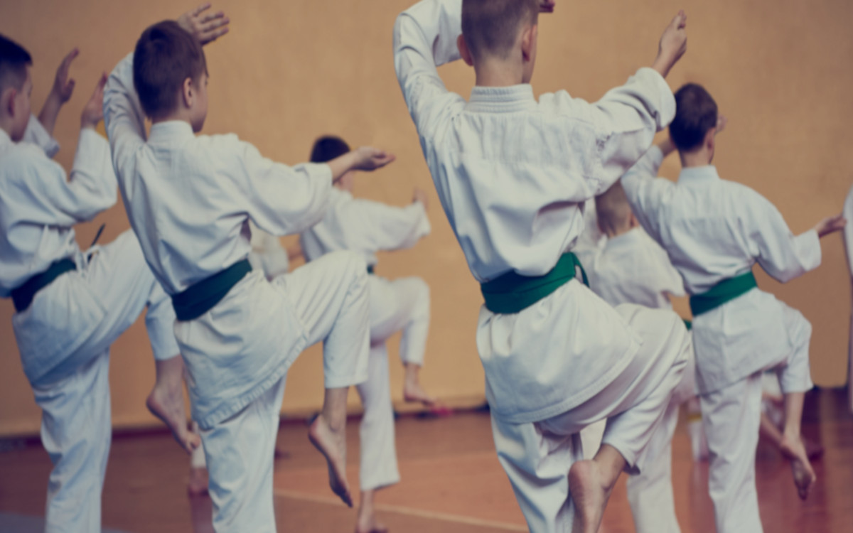 Active Karate Training